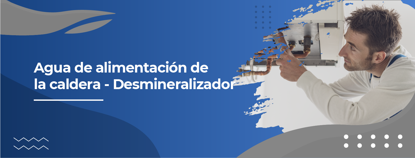 Agua de alimentación de la caldera - Desmineralizador